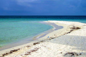 Cruise19-027