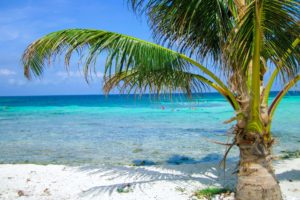 Cruise19-029